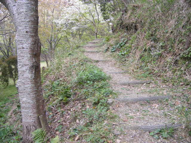 daiodani-saturday-english-class-excursion-hyuga-april-5-2008-trail-mix.jpg