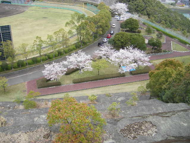 daiodani-saturday-english-class-excursion-hyuga-april-5-2008-where-we-had-a-picnic.jpg